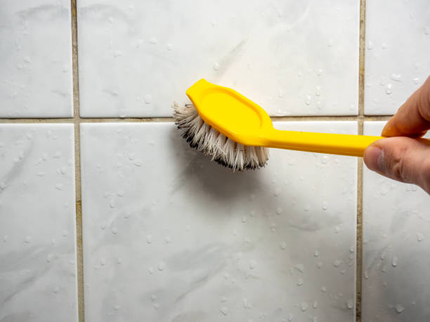Best Same-Day Mold Removal  in Ave Maria, FL