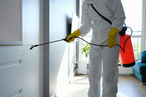 Best Office Mold Removal Services  in Ave Maria, FL